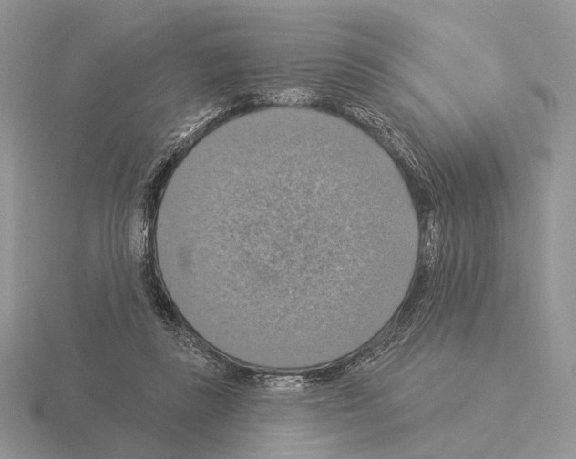 X0000115360355200912151402