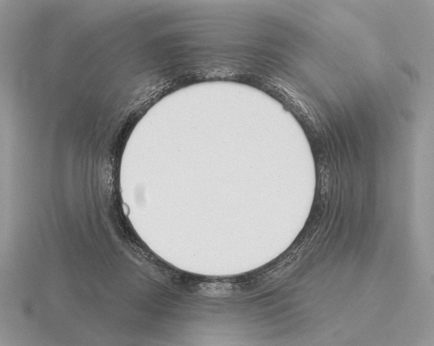 X0000115360362200912151402