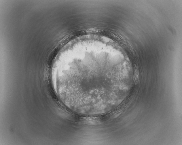 X0000115360367200912151403