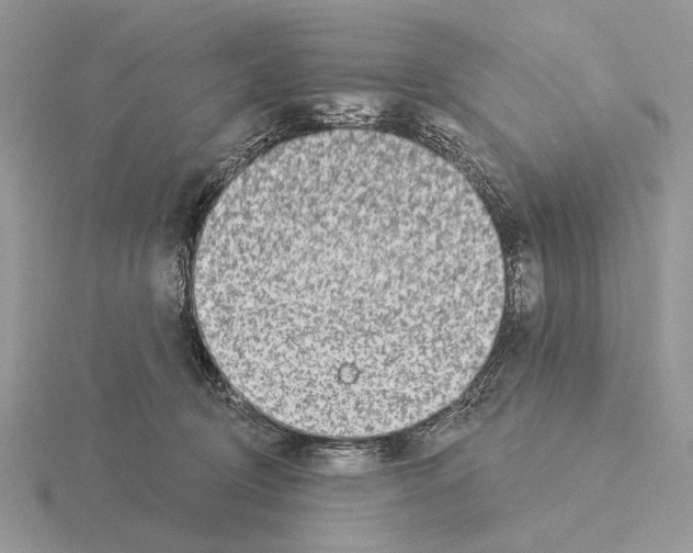 X0000115360370200912151403