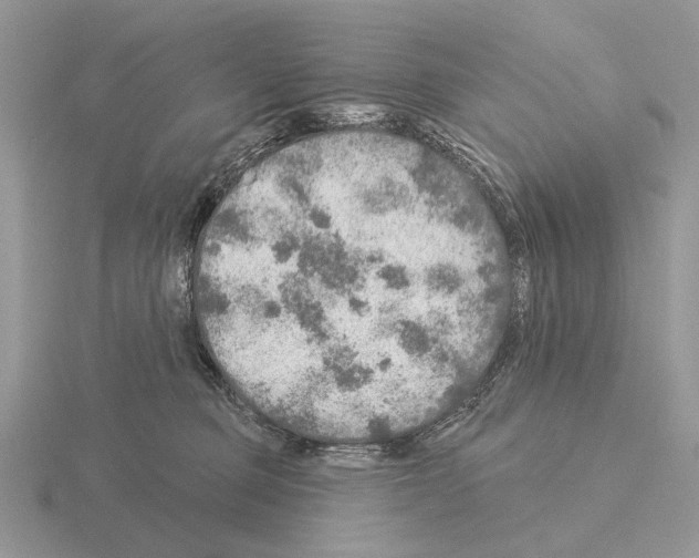 X0000115360373200912151403