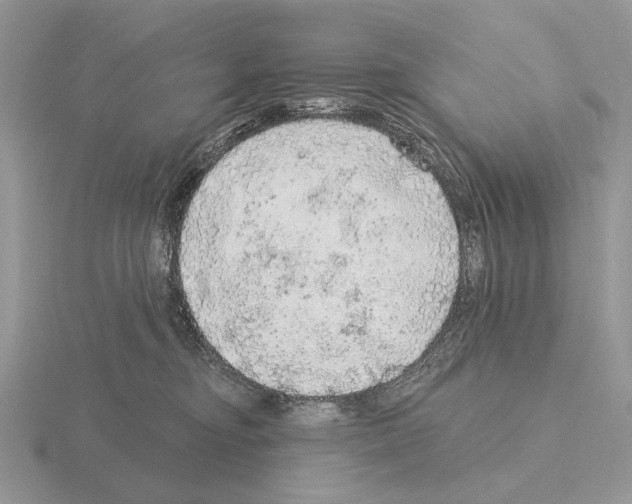 X0000115360374200912151403
