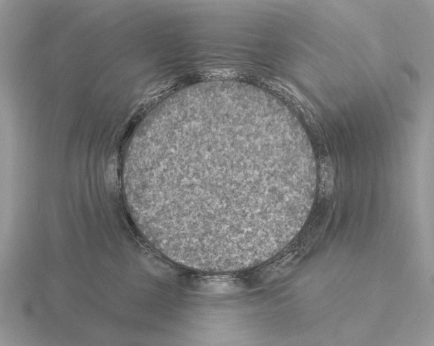 X0000115360377200912151403