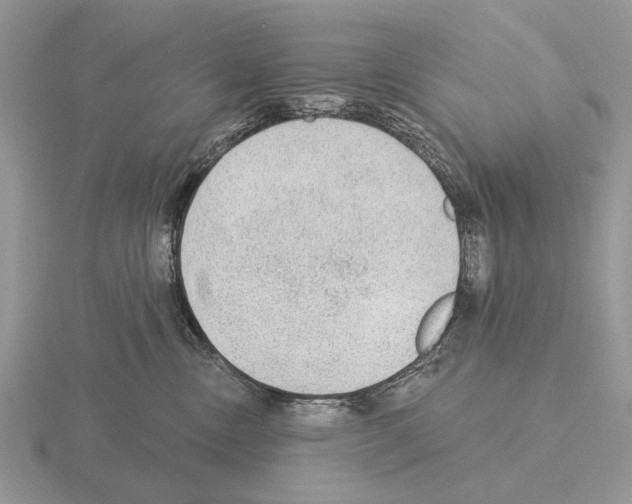 X0000115360378200912151403
