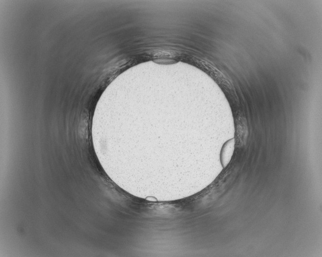 X0000115360379200912151403