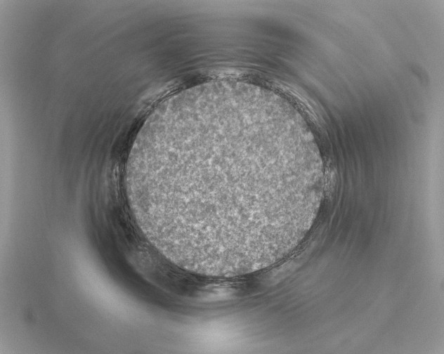 X0000115360381200912151403