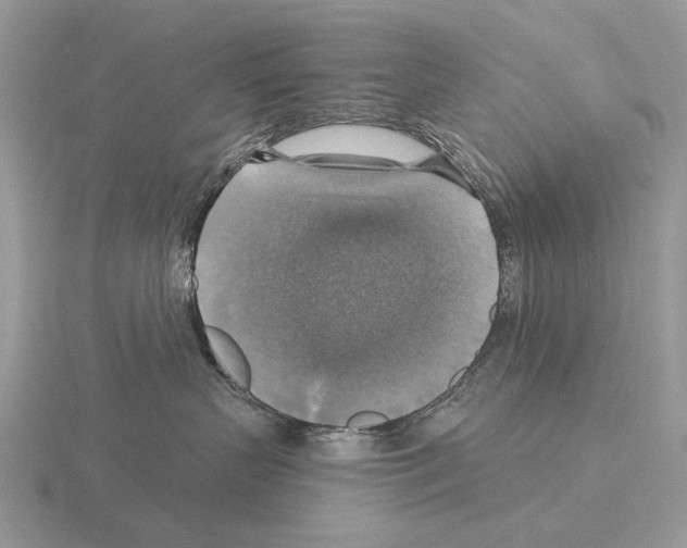 X0000115360383200912151403