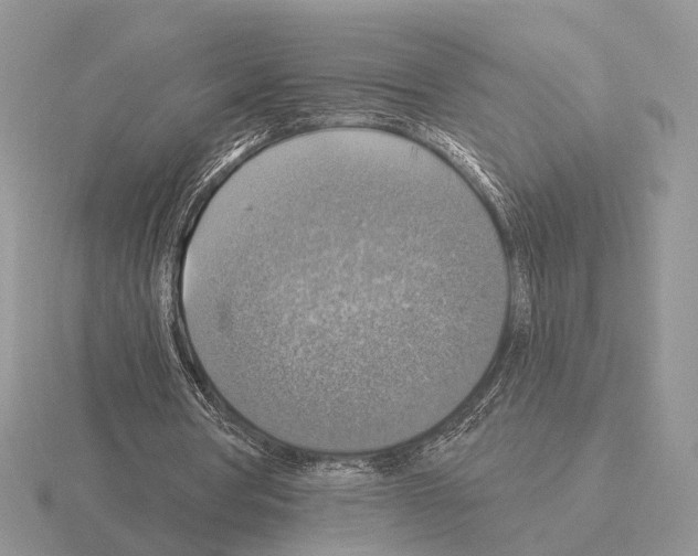 X0000115360386200912151402