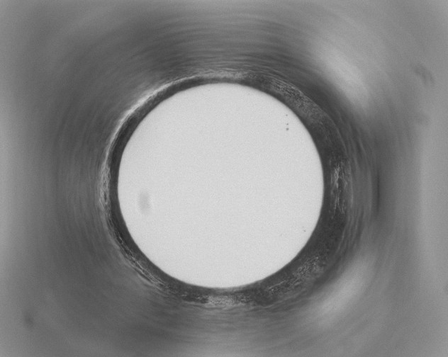 X0000115360388200912151402