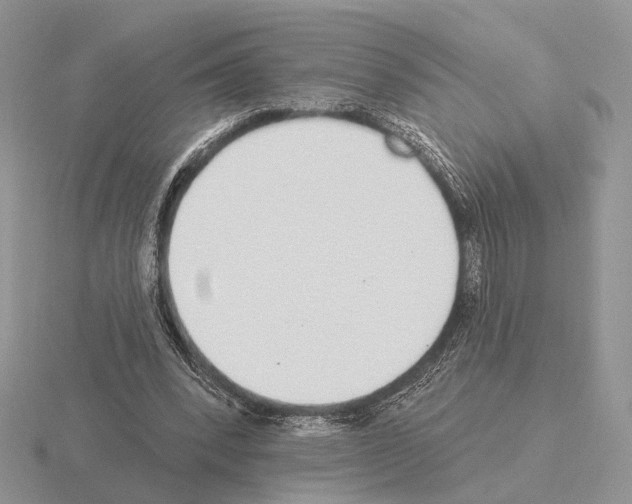 X0000115360392200912151402