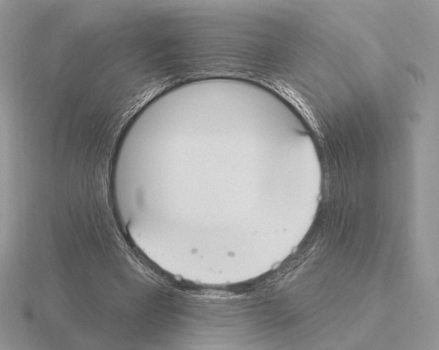 X0000115360393200912151402