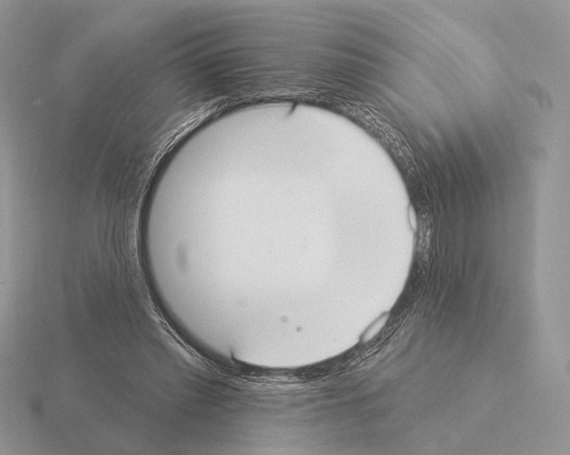 X0000115360397200912151402
