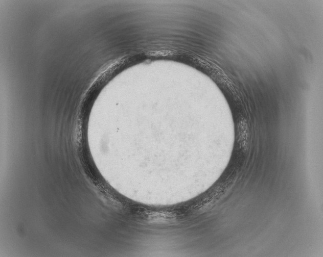 X0000115360400200912151402