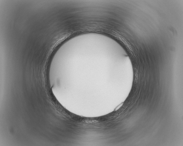 X0000115360403200912151402
