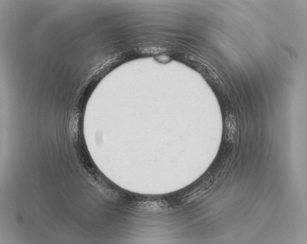X0000115360404200912151402