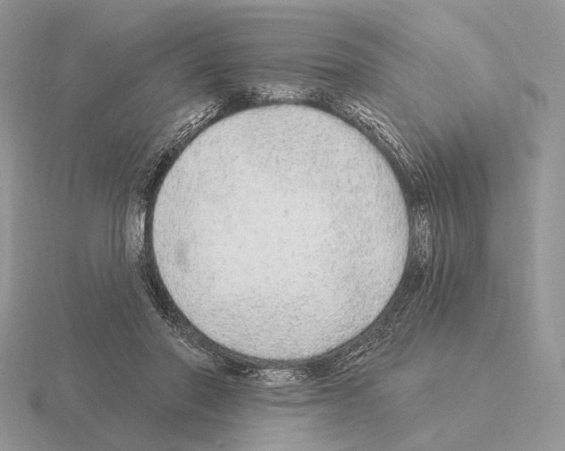 X0000115360406200912151402