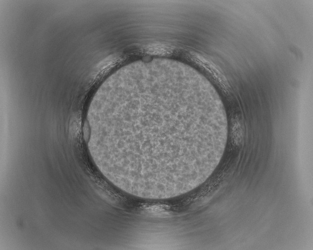 X0000115360407200912151402