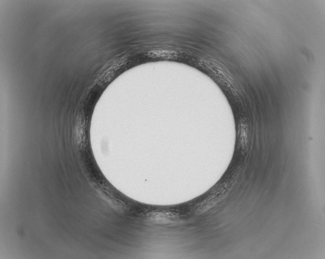 X0000115360408200912151402