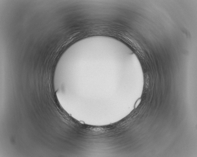 X0000115360409200912151402