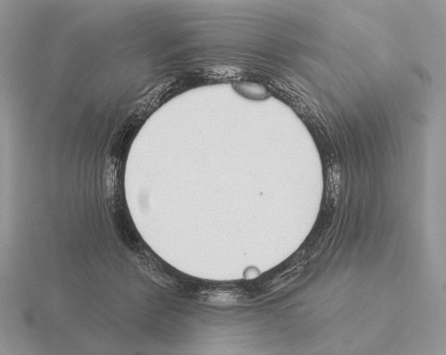 X0000115360412200912151402