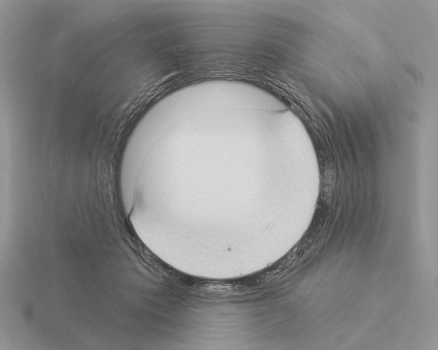 X0000115360413200912151402