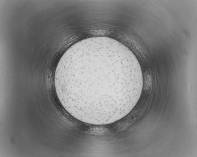 X0000115360414200912151402