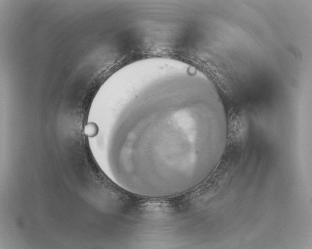 X0000115360415200912151402