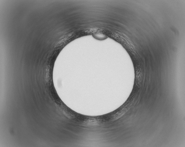 X0000115360416200912151402