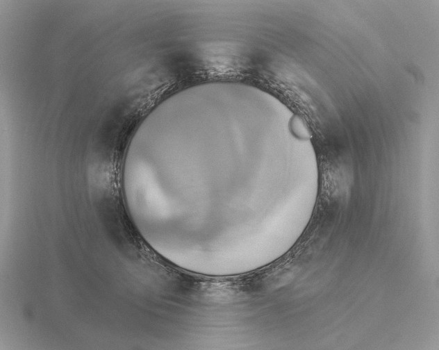 X0000115360419200912151402