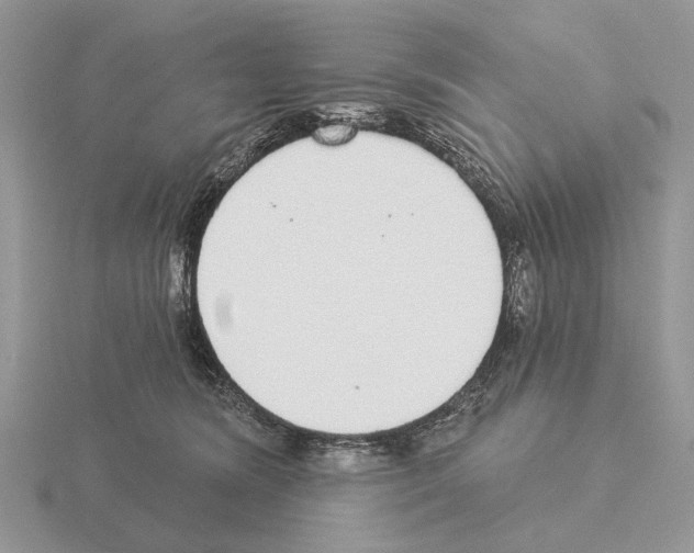 X0000115360420200912151402