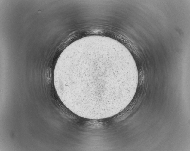 X0000115360421200912151402