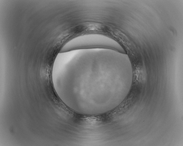 X0000115360423200912151402