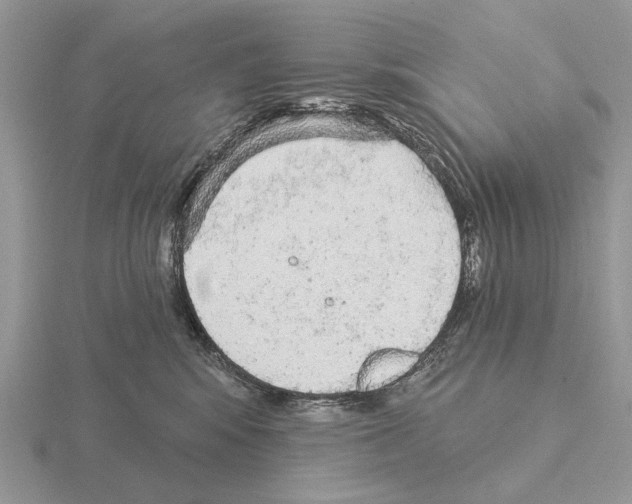 X0000115360424200912151402