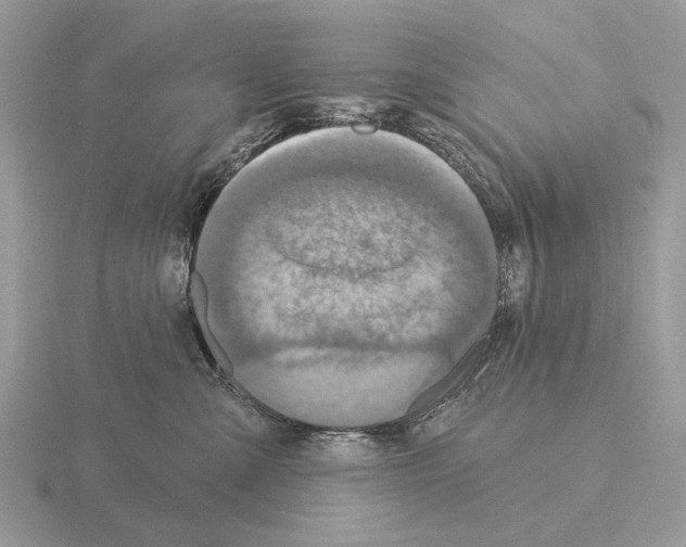 X0000115360427200912151402