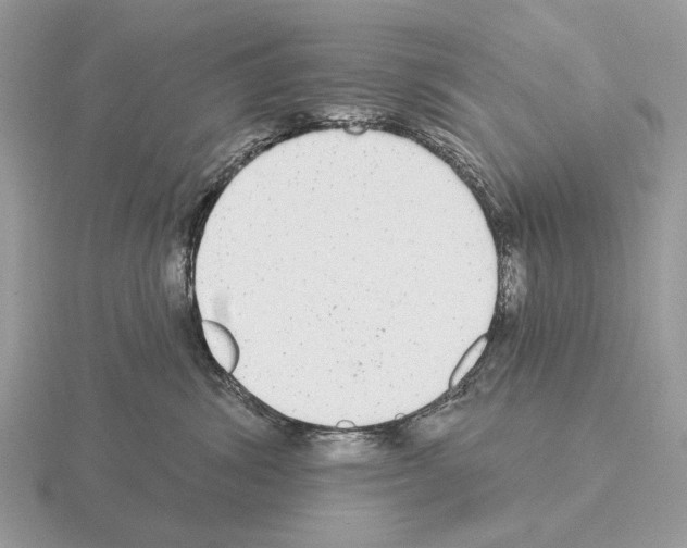 X0000115360428200912151402