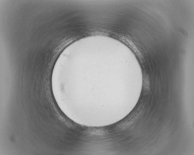 X0000115360433200912151401
