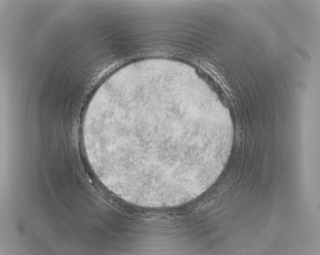X0000115360434200912151401