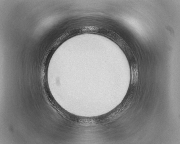 X0000115360435200912151401