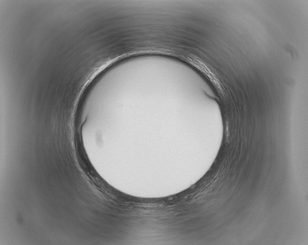 X0000115360436200912151401