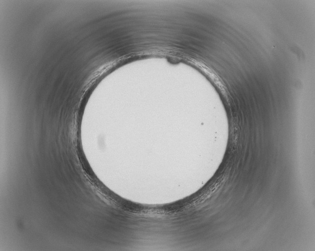 X0000115360437200912151401