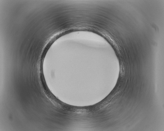 X0000115360438200912151401