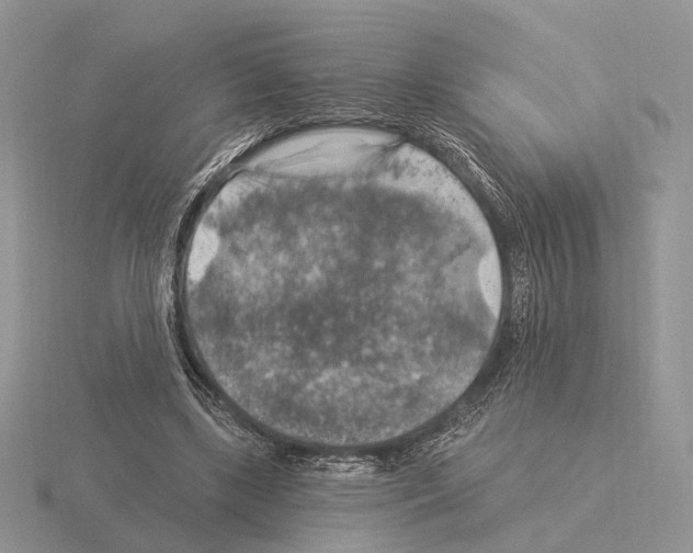 X0000115360443200912151401