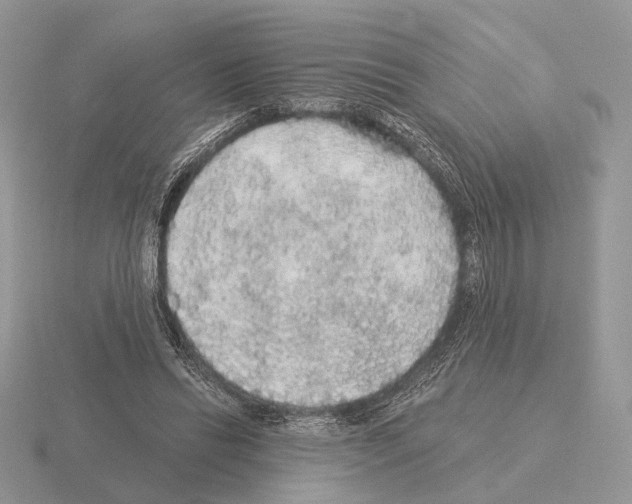 X0000115360446200912151401