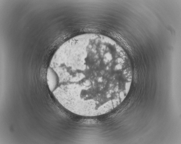 X0000115360449200912151401