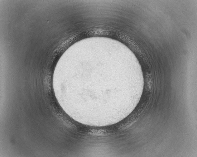 X0000115360450200912151401