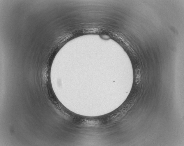 X0000115360455200912151401