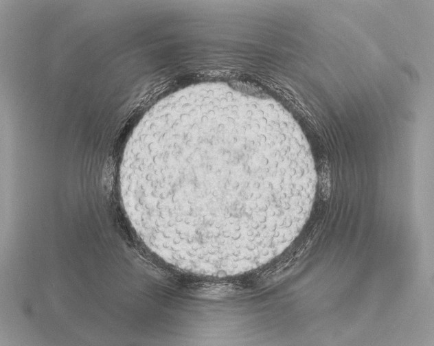 X0000115360458200912151401