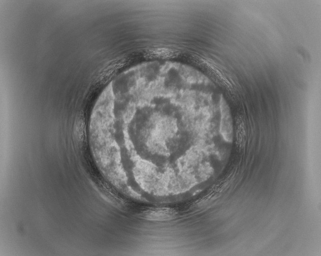 X0000115360459200912151401