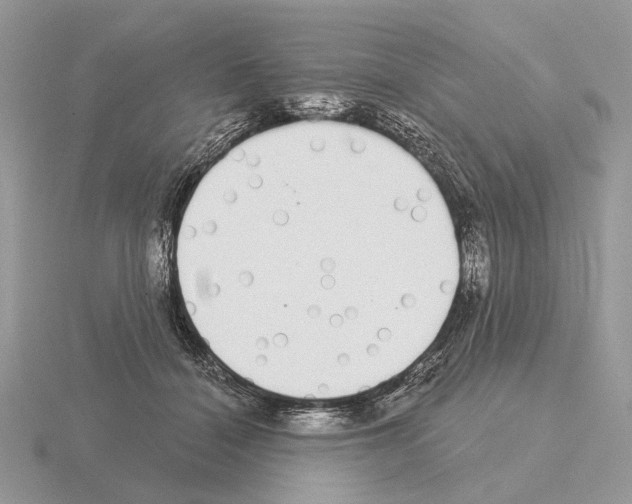 X0000115360460200912151401