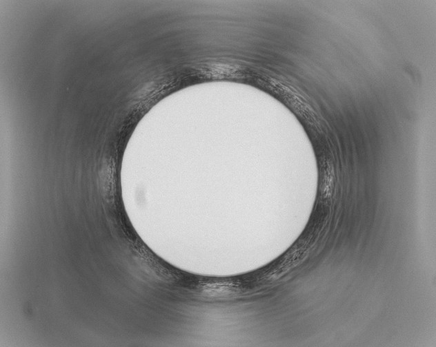 X0000115360461200912151401